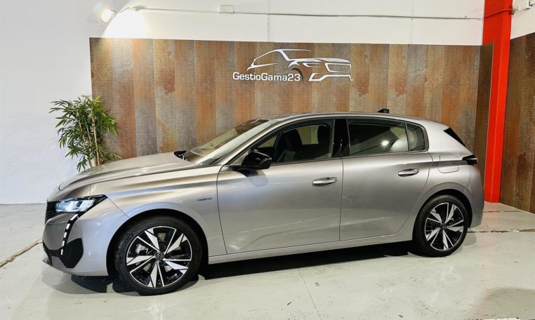 peugeot 308 coche de segunda mano en Tarragona (6)