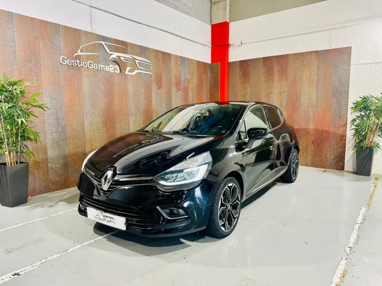 RENAULT Clio Wolfnoir Energy